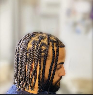 Mens Individual Braids $75